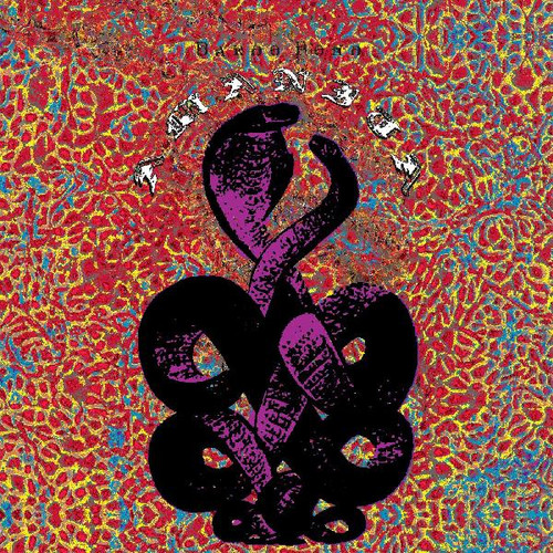 Bardo Pond Amanita (25th Anniversary) 2LP (Purple Vinyl) 1