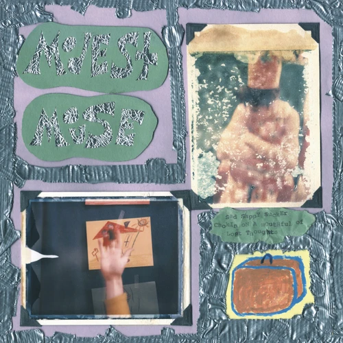 Modest Mouse Sad Sappy Sucker LP 1