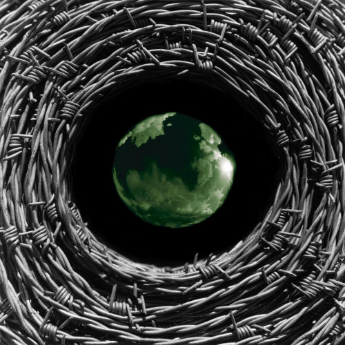 Umphrey's McGee Mantis LP (Pink Vinyl) 1