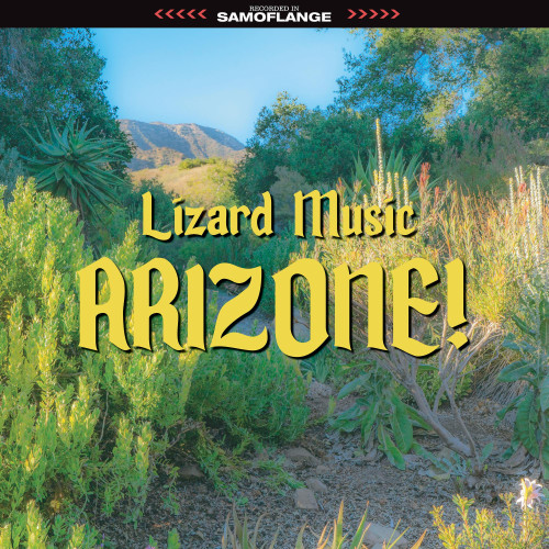 Lizard Music Arizone! 2LP
