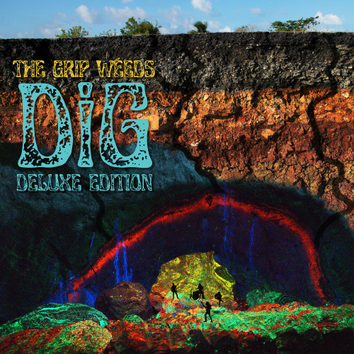 The Grip Weeds DiG LP 1