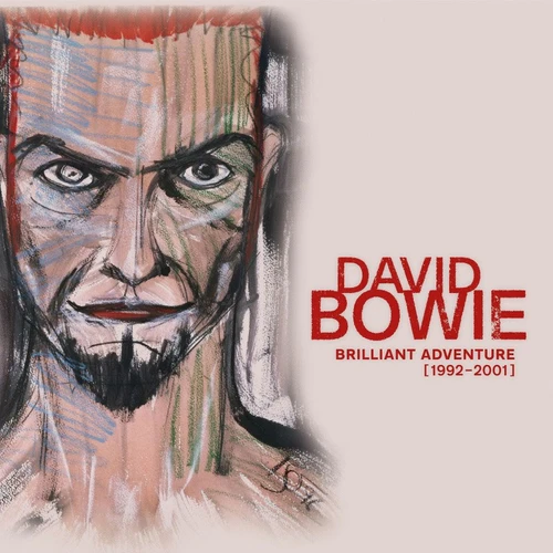 David Bowie Brilliant Adventure (1992-2001) 180g 18LP & Book Box Set 2