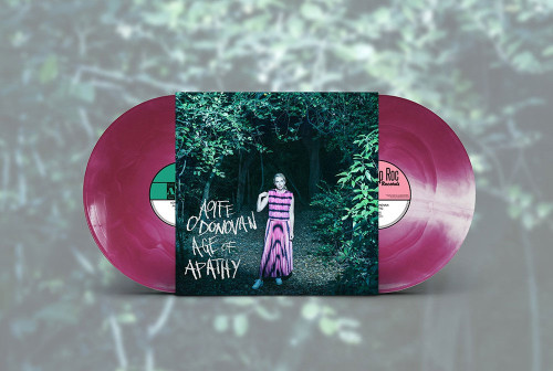 Aoife O'Donovan Age Of Apathy (Deluxe) LP & 12" Vinyl EP (Tie-Dye Vinyl) 2