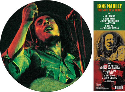 Bob Marley The Soul Of A Rebel LP (Picture Disc) 2