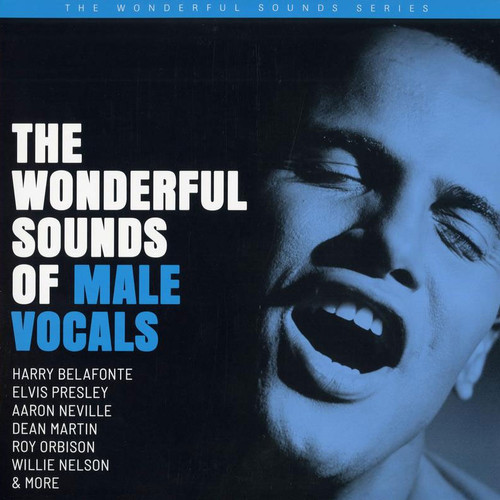 The Wonderful Sounds of Male Vocals 180g 2LP 1