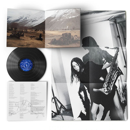 PJ Harvey The Hope Six Demolition Project 180g LP 2