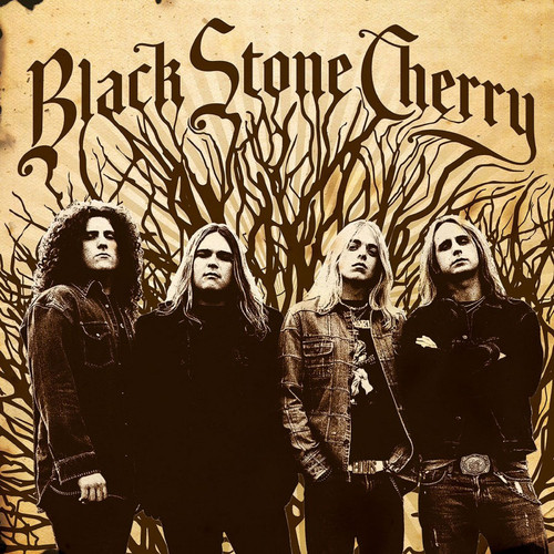Black Stone Cherry Black Stone Cherry 180g Import LP 1