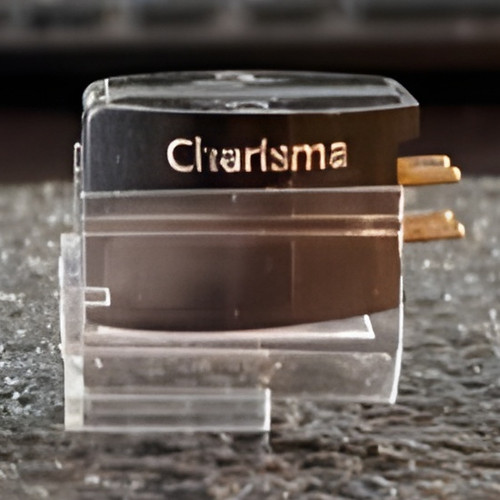 Clearaudio Stylus Guard for Performer V2, Artist V2, Jubilee MM, Virtuoso V2, Maestro V2, Charisma, Talismann Cartridges 1