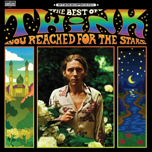 Twink You Reached for the Stars: The Best of Twink LP (Violet Vinyl) 1