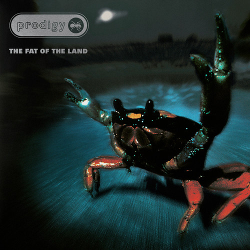 The Prodigy The Fat of the Land (25th Anniversary) 2LP (Silver Vinyl) 1