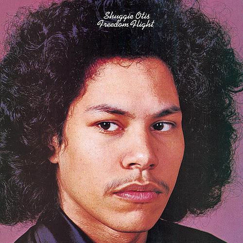 Shuggie Otis Freedom Flight LP (Purple Vinyl) 1