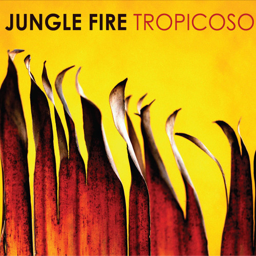 Jungle Fire Tropicoso LP (Pink Vinyl) 1