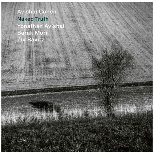 Avishai Cohen Naked Truth 180g LP 1