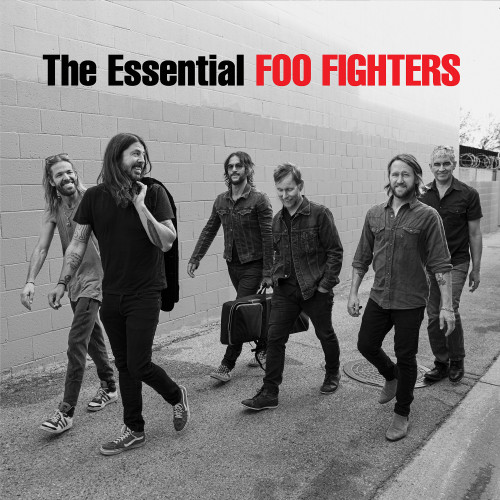 Foo Fighters The Essential Foo Fighters 2LP 1