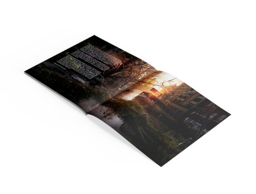 Gustavo Santaolalla The Last of Us Video Game Soundtrack 180g Import 2LP (Black Vinyl) 3