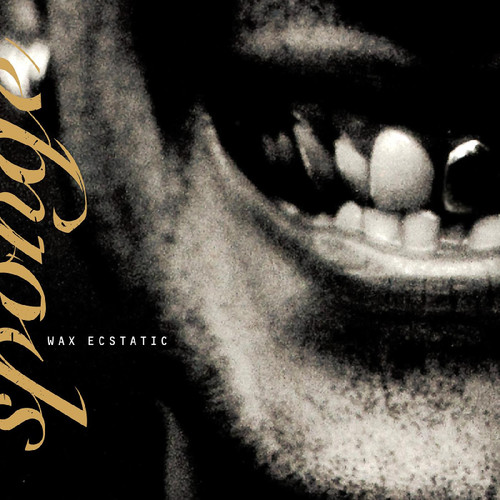 Sponge Wax Ecstatic LP (Galaxy Beer/Black Vinyl) 1