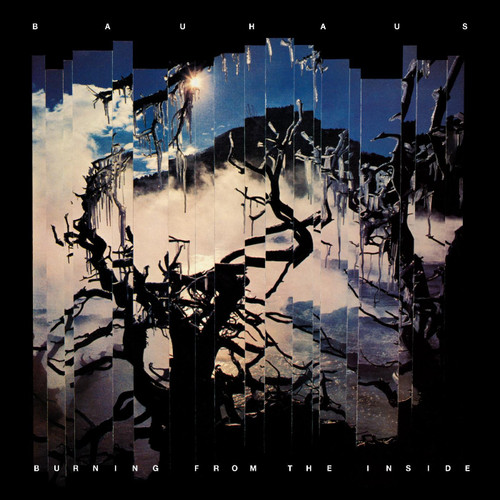Bauhaus Burning from the Inside LP 1