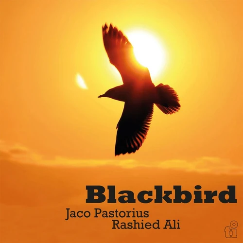 Jaco Pastorius & Rashied Ali Blackbird Numbered Limited Edition 180g Import LP (Translucent Yellow Vinyl) 1