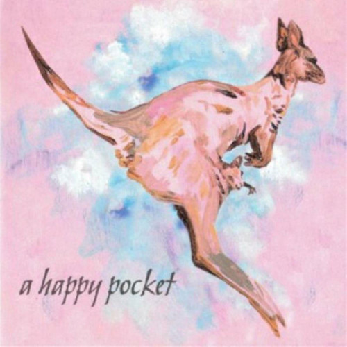 Trashcan Sinatras A Happy Pocket 2LP (Pink Vinyl) 1