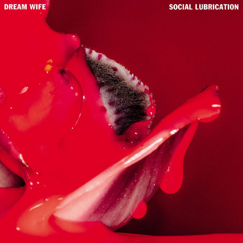 Dream Wife Social Lubrication LP (Deep Red Vinyl) 1