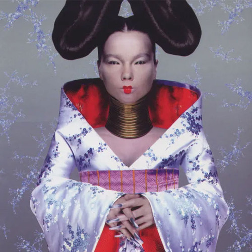 Bjork Homogenic 180g LP 1