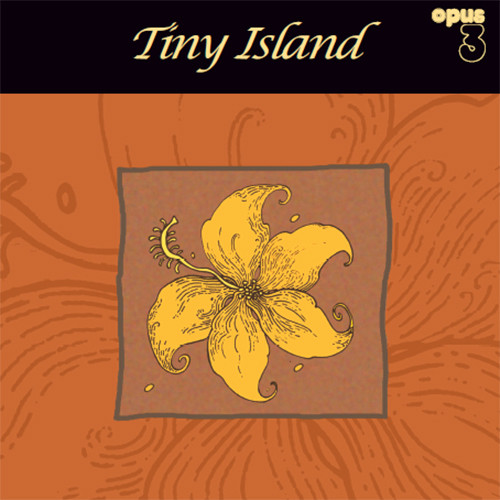 Tiny Island Tiny Island 180g 45rpm 2LP 1