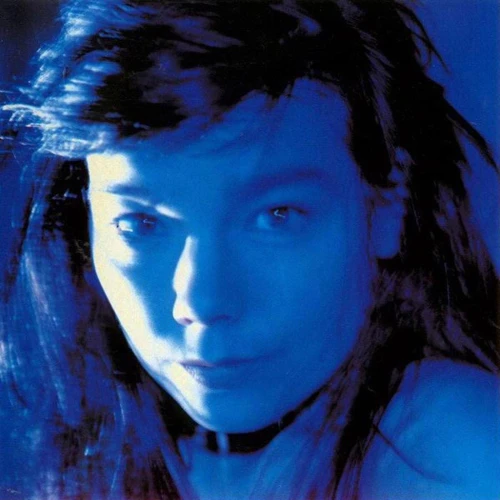 Bjork Telegram DMM 45rpm 2LP 1