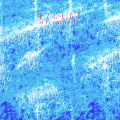 12 Rods If We Stayed Alive LP 1