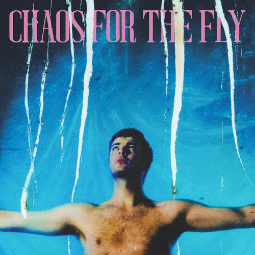Grian Chatten Chaos for the Fly LP (Opaque White Vinyl) 1