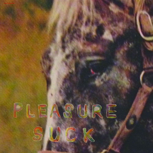 SPIRIT OF THE BEEHIVE Pleasure Suck LP (Transparent Orange Vinyl) 1