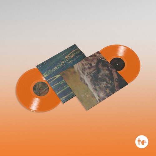 SPIRIT OF THE BEEHIVE Pleasure Suck LP (Transparent Orange Vinyl) 2