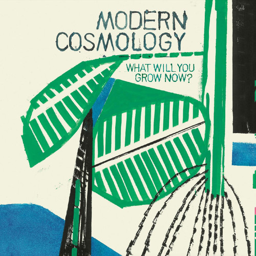 Modern Cosmology What Will You Grow Now? LP 1