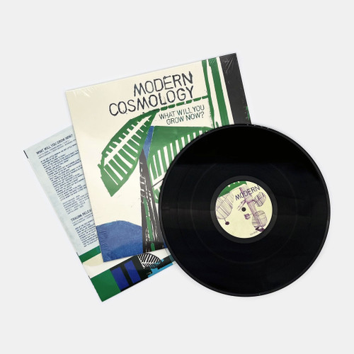 Modern Cosmology What Will You Grow Now? LP 2