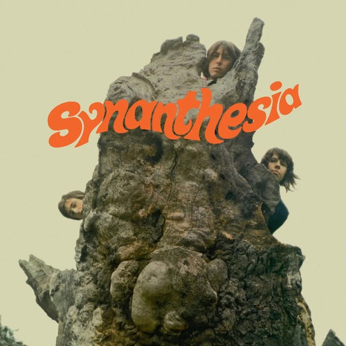 Synanthesia Synanthesia Import LP 1