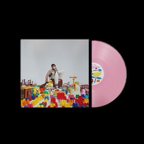 Barry Can't Swim When Will We Land? LP (Flamingo Pink Vinyl) 2