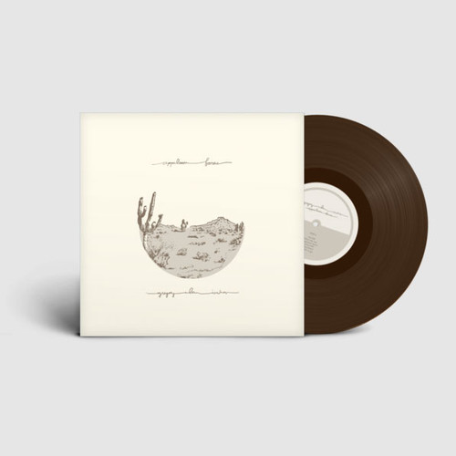 Gregory Alan Isakov Appaloosa Bones 180g LP (Brown Vinyl) 2