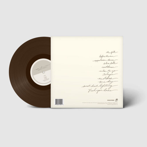 Gregory Alan Isakov Appaloosa Bones 180g LP (Brown Vinyl) 3