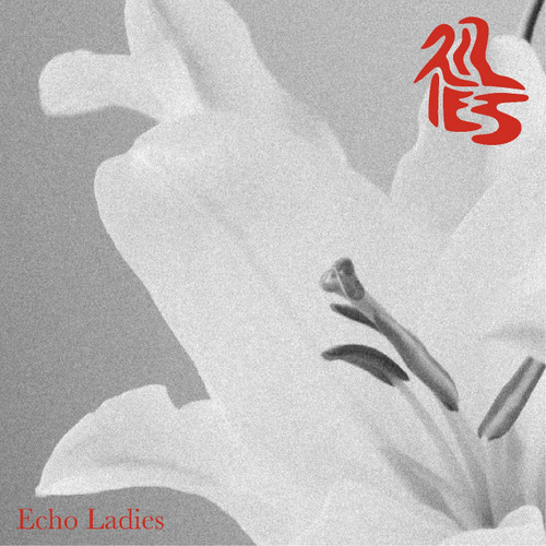 Echo Ladies Lilies LP (Silver Vinyl) 1