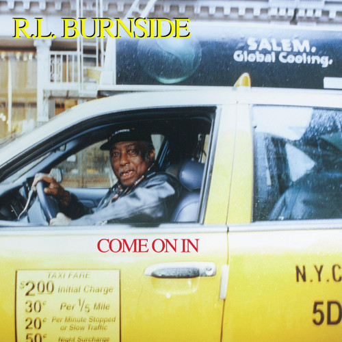 R.L. Burnside Come On In LP (Pink Vinyl) 1