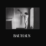 BAUHAUS IN THE FLATFIELD 180G LP 1