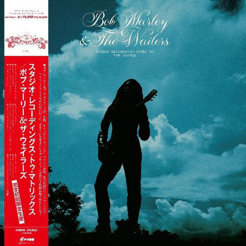 Bob Marley & the Wailers Studio Recordings Intro to the Matrix 45rpm Import 2LP Scratch & Dent 1