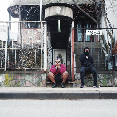 Armand Hammer We Buy Diabetic Test Strips 2LP (Grape Vinyl) 1