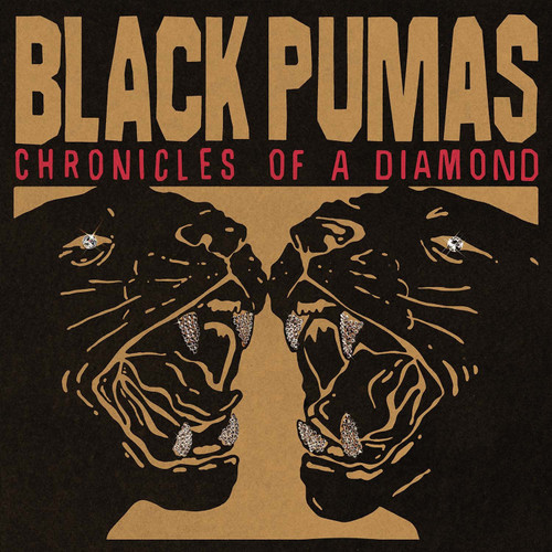 Black Pumas Chronicles of a Diamond LP (Clear Vinyl) 1