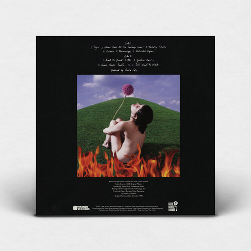 Paula Cole This Fire LP 2