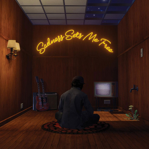 Gruff Rhys Sadness Sets Me Free LP 1