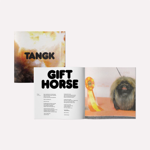 IDLES TANGK (Deluxe Edition) LP (Translucent Yellow Vinyl) 5