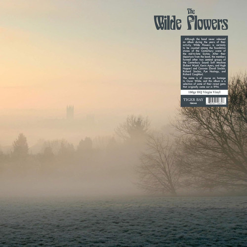 The Wilde Flowers The Wilde Flowers 180g LP 1