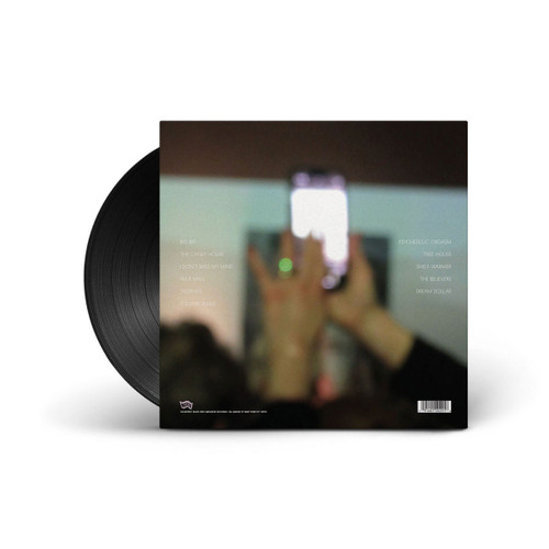 Kim Gordon The Collective LP 4