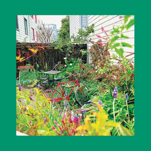 The Reds, Pinks, and Purples Unwishing Well LP (Nasturtium Orange Vinyl) 1