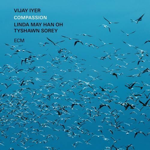 Vijay Iyer Compassion 2LP 1